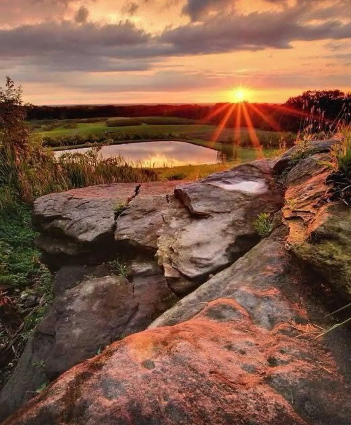 America's Most Beautiful Farm