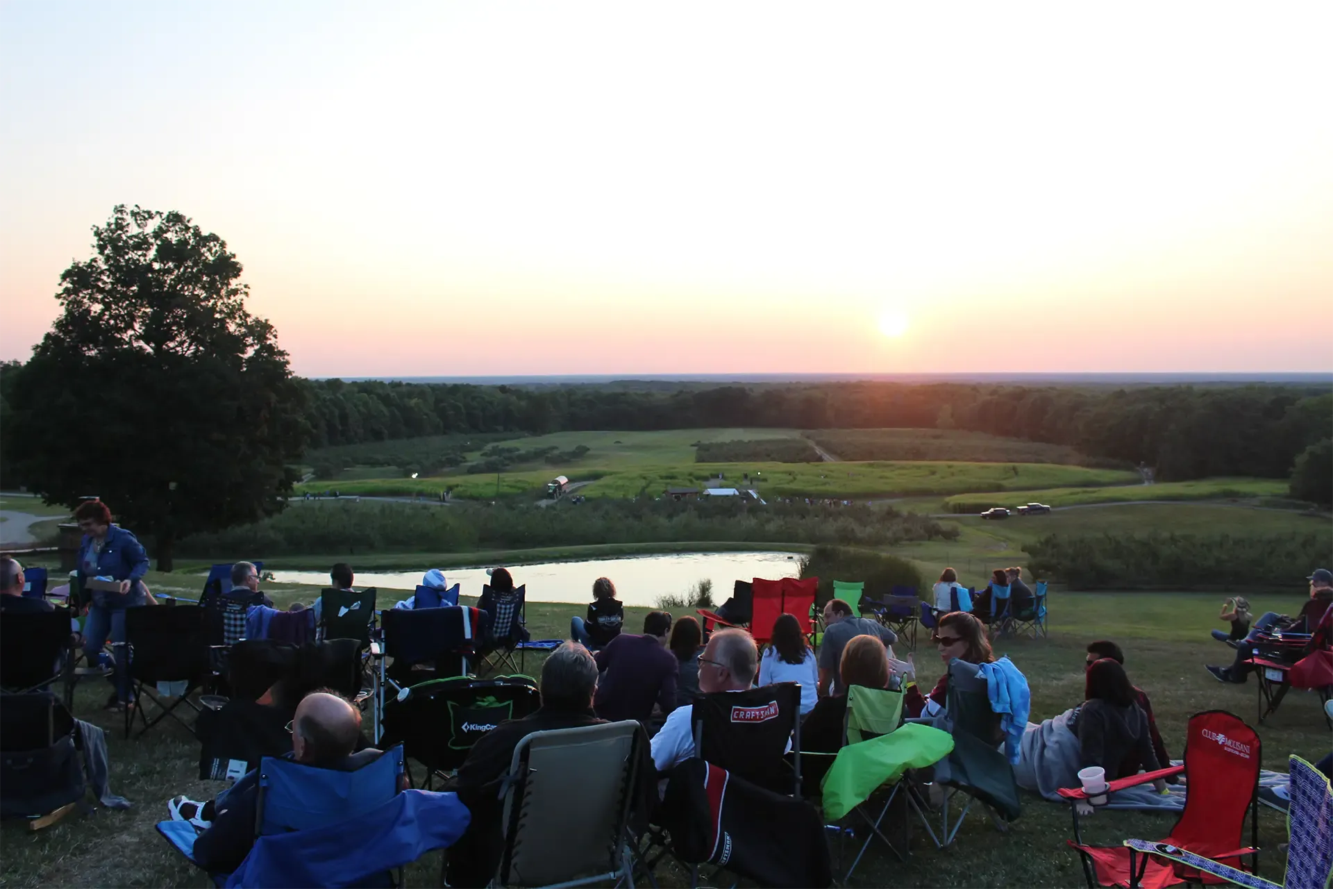 Hilltop orchard views
