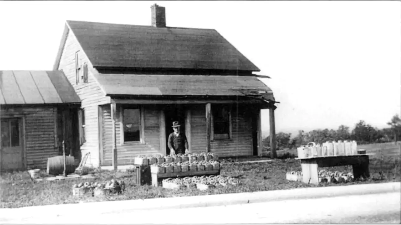 Historic Log Cabin